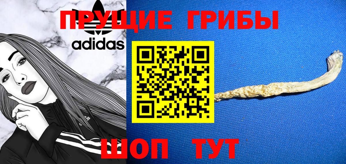 Псилоцибиновые грибы MAGIC MUSHROOMS Дивногорск