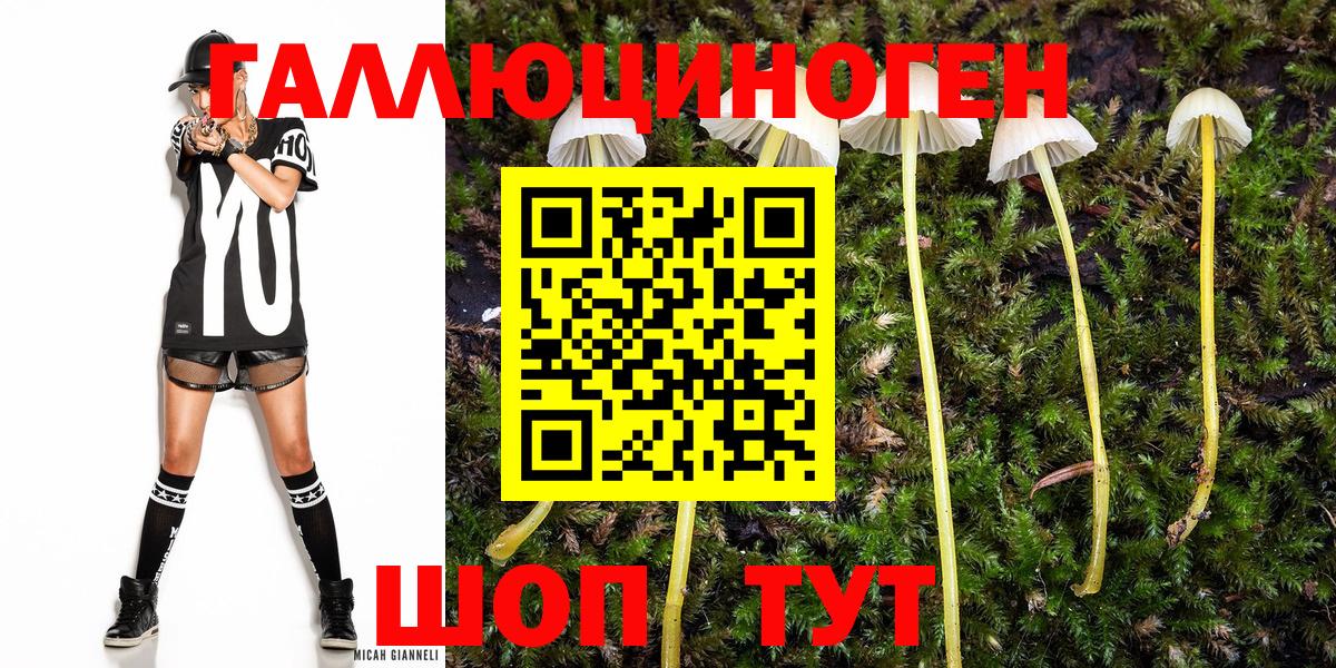 Дивногорск  Галлюциногенные грибы MAGIC MUSHROOMS  Псилоцибиновые грибы ЛСД  Вход с VPN 